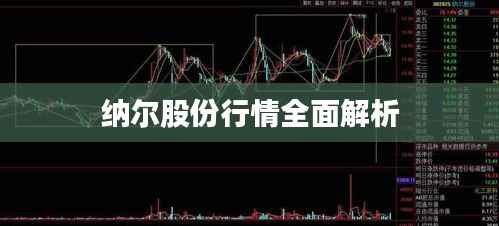 纳尔股份行情全面解析