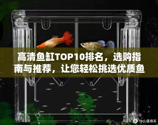 高清鱼缸TOP10排名,选购指南与推荐,让您轻松挑选优质鱼缸!