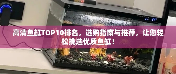 高清鱼缸TOP10排名,选购指南与推荐,让您轻松挑选优质鱼缸!