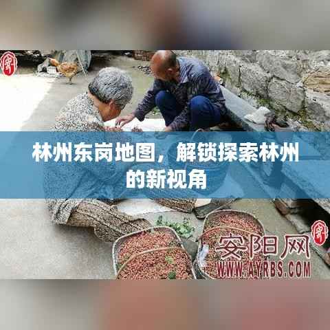 林州东岗地图,解锁探索林州的新视角