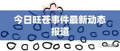 今日旺苍事件最新动态报道
