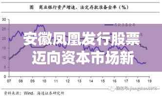 安徽凤凰发行股票 迈向资本市场新征程