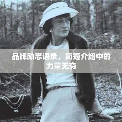 品牌励志语录，简短介绍中的力量无穷