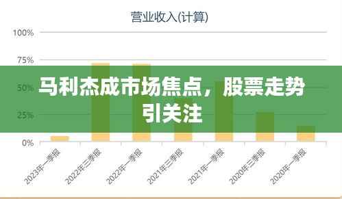 马利杰成市场焦点,股票走势引关注