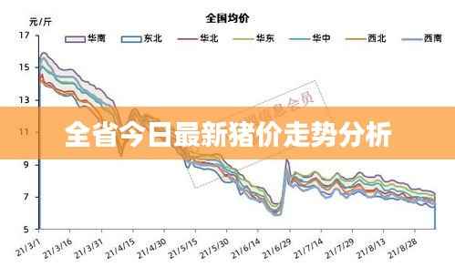 全省今日最新猪价走势分析