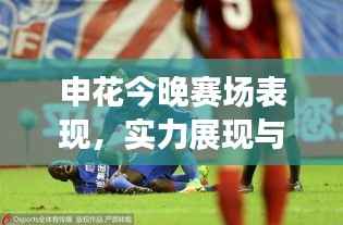 申花今晚赛场表现,实力展现与球迷期待的高潮对决结果