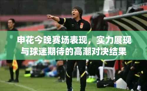 申花今晚赛场表现,实力展现与球迷期待的高潮对决结果