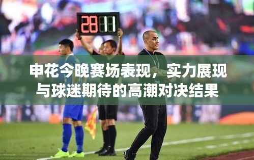 申花今晚赛场表现,实力展现与球迷期待的高潮对决结果