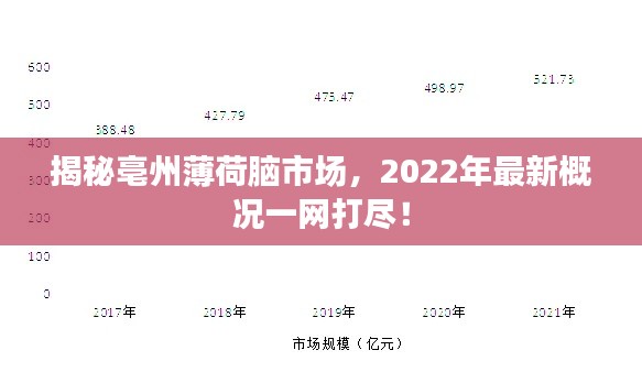 揭秘亳州薄荷脑市场,2022年最新概况一网打尽!
