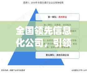 全国领先信息化公司,引领潮流前沿力量,助力信息化发展之路