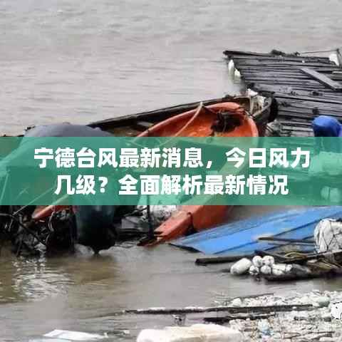 宁德台风最新消息,今日风力几级?全面解析最新情况