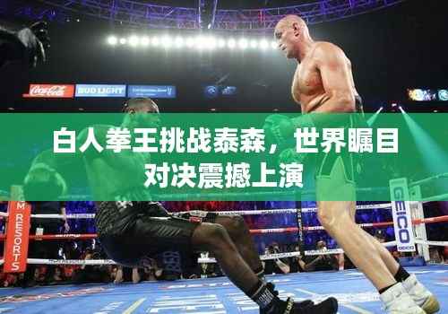 白人拳王挑战泰森,世界瞩目对决震撼上演