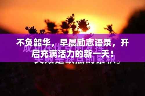 不负韶华,早晨励志语录,开启充满活力的新一天!