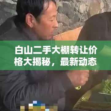 白山二手大棚转让价格大揭秘，最新动态一网打尽