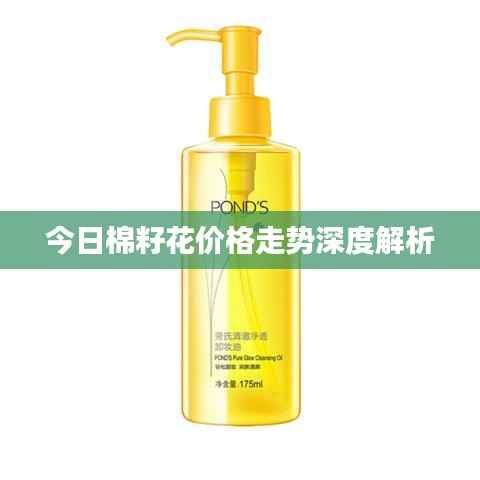 勇往直前 第4页