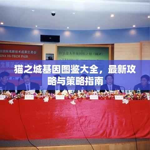 猫之城基因图鉴大全，最新攻略与策略指南