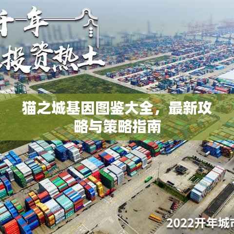 猫之城基因图鉴大全,最新攻略与策略指南