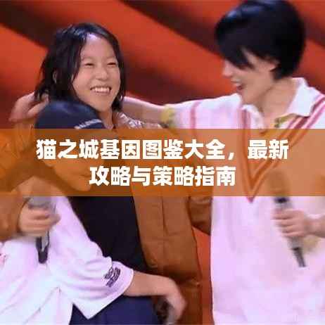 猫之城基因图鉴大全,最新攻略与策略指南