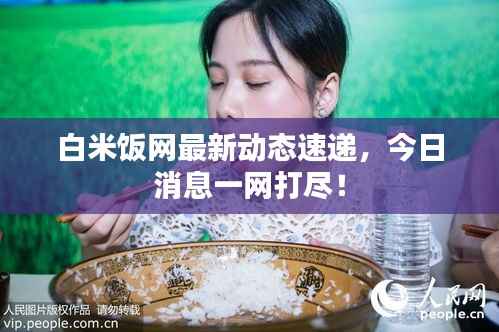 白米饭网最新动态速递,今日消息一网打尽!