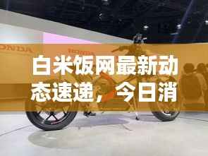 白米饭网最新动态速递,今日消息一网打尽!