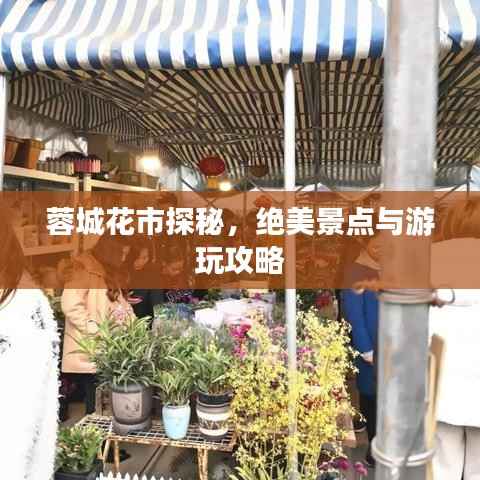 蓉城花市探秘,绝美景点与游玩攻略