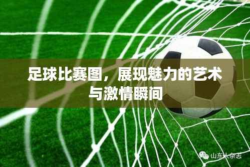 足球比赛图,展现魅力的艺术与激情瞬间