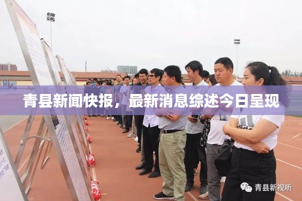 青县新闻快报，最新消息综述今日呈现