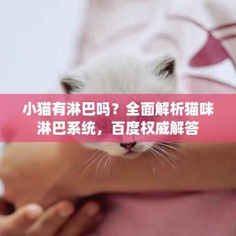 小猫有淋巴吗？全面解析猫咪淋巴系统，百度权威解答
