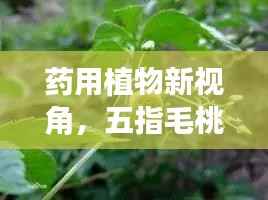 推襟送抱 第4页