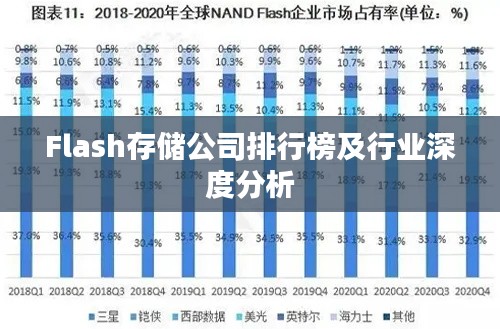 Flash存储公司排行榜及行业深度分析