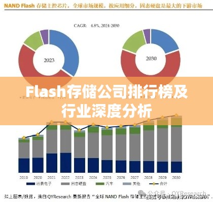 Flash存储公司排行榜及行业深度分析