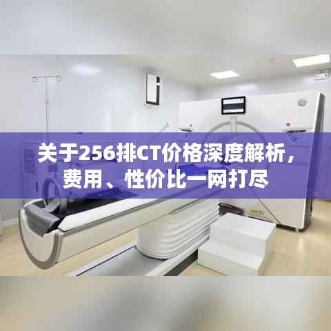 关于256排CT价格深度解析，费用、性价比一网打尽