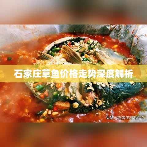 石家庄草鱼价格走势深度解析