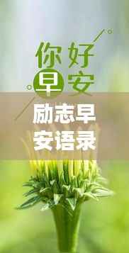 励志早安语录，中学奋进正能量短句激励你前行