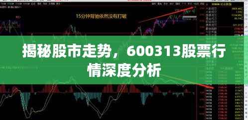 揭秘股市走势，600313股票行情深度分析