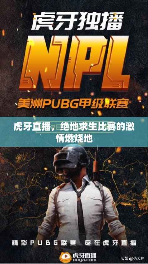 虎牙直播,绝地求生比赛的激情燃烧地