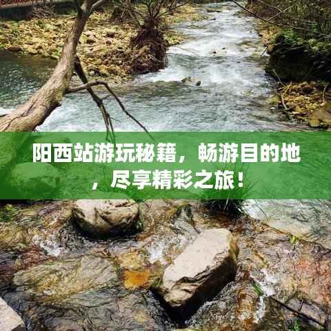 阳西站游玩秘籍,畅游目的地,尽享精彩之旅!