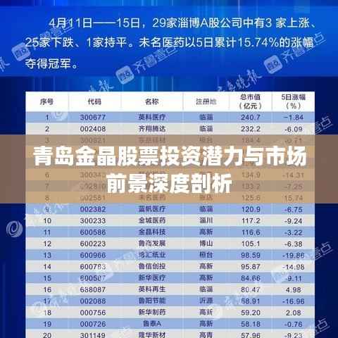 青岛金晶股票投资潜力与市场前景深度剖析
