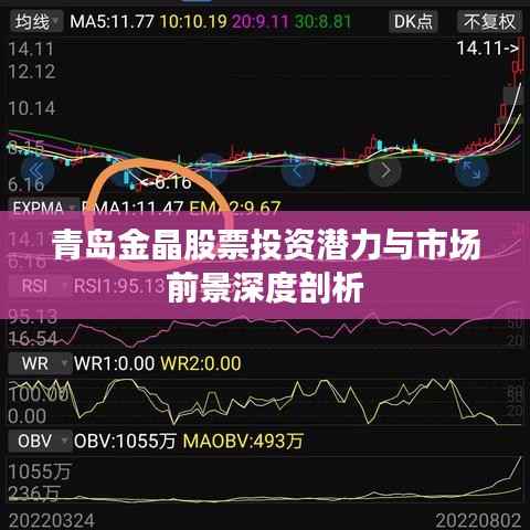 青岛金晶股票投资潜力与市场前景深度剖析