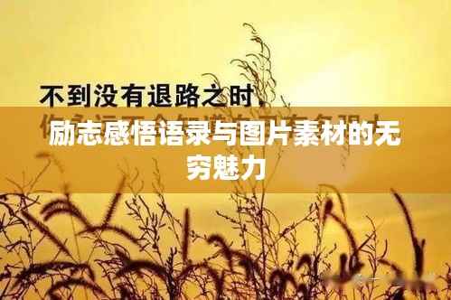 励志感悟语录与图片素材的无穷魅力