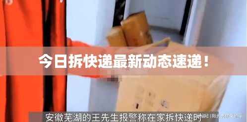 今日拆快递最新动态速递!
