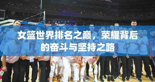 女篮世界排名之巅,荣耀背后的奋斗与坚持之路
