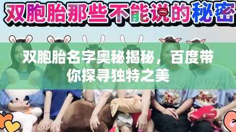 双胞胎名字奥秘揭秘，百度带你探寻独特之美
