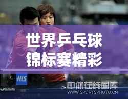 世界乒乓球锦标赛精彩瞬间回顾，2017年世乒赛辉煌篇章