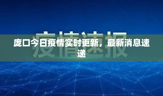 庞口今日疫情实时更新,最新消息速递