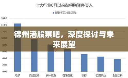 锦州港股票吧，深度探讨与未来展望
