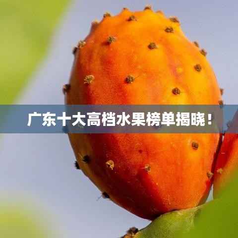 广东十大高档水果榜单揭晓！