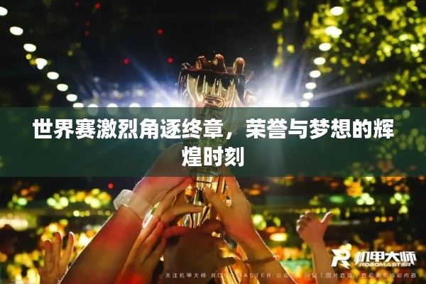 世界赛激烈角逐终章,荣誉与梦想的辉煌时刻