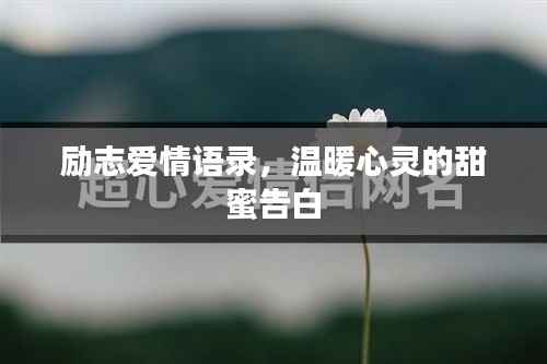 励志爱情语录,温暖心灵的甜蜜告白
