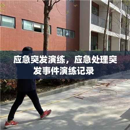 应急突发演练,应急处理突发事件演练记录